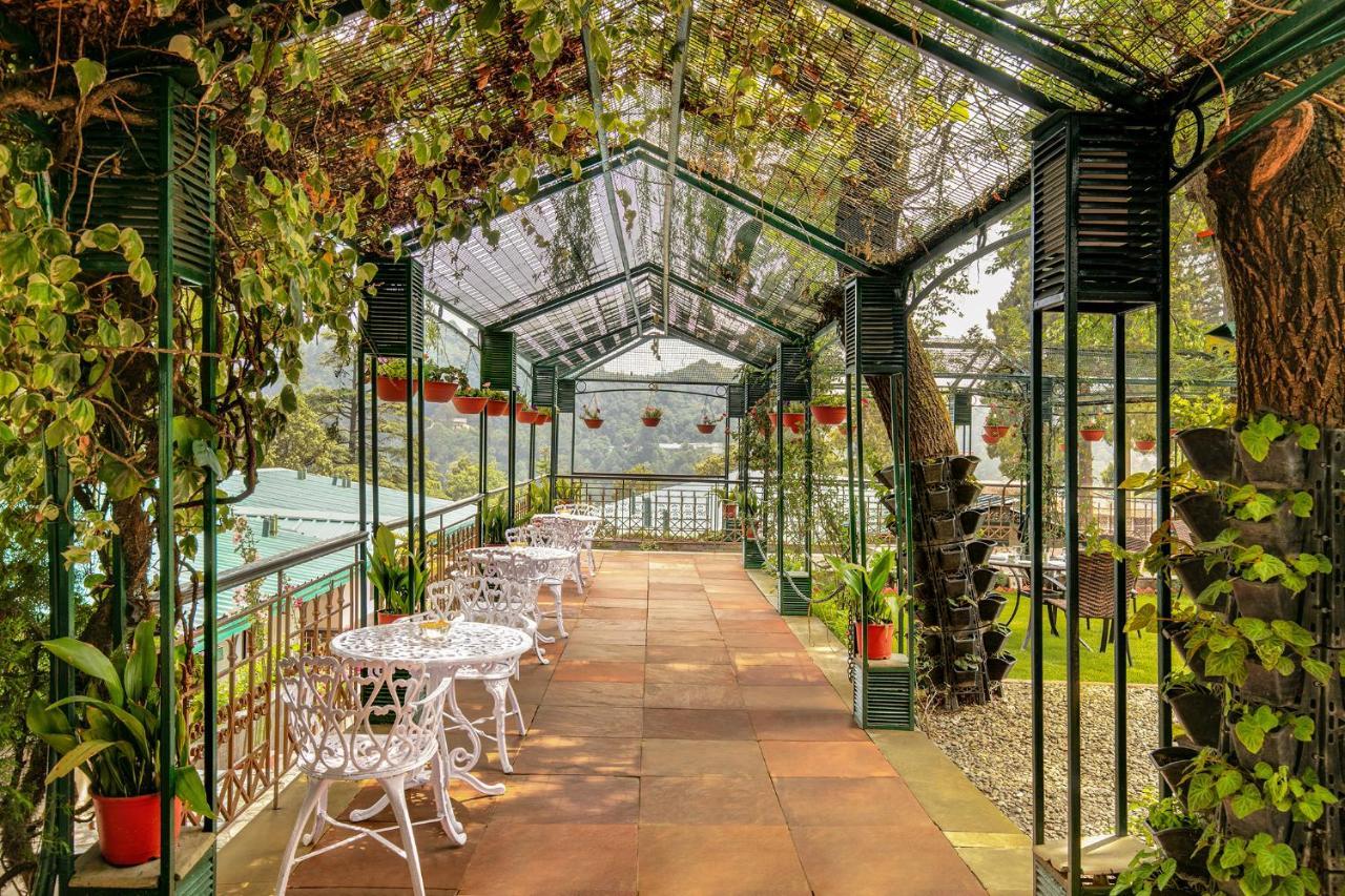 Shervani Hilltop Resort Nainital Kültér fotó