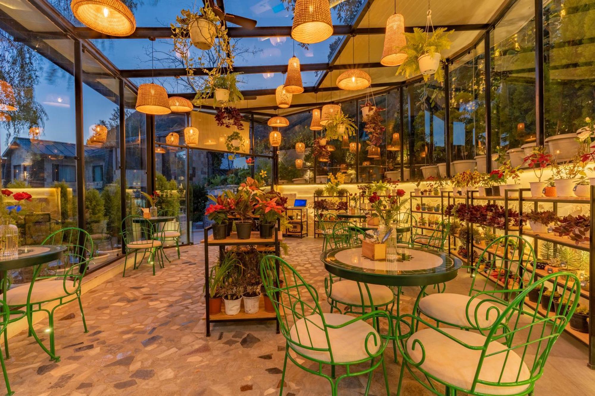 Shervani Hilltop Resort Nainital Kültér fotó