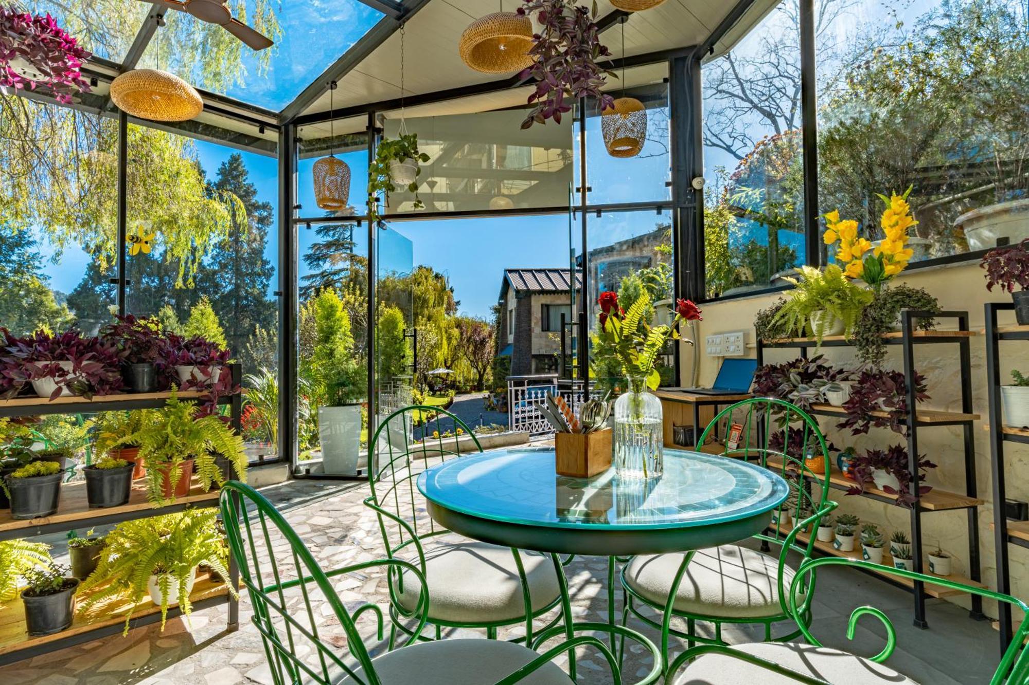 Shervani Hilltop Resort Nainital Kültér fotó