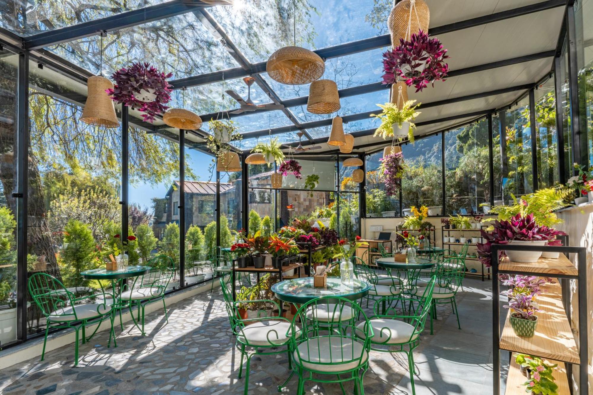 Shervani Hilltop Resort Nainital Kültér fotó