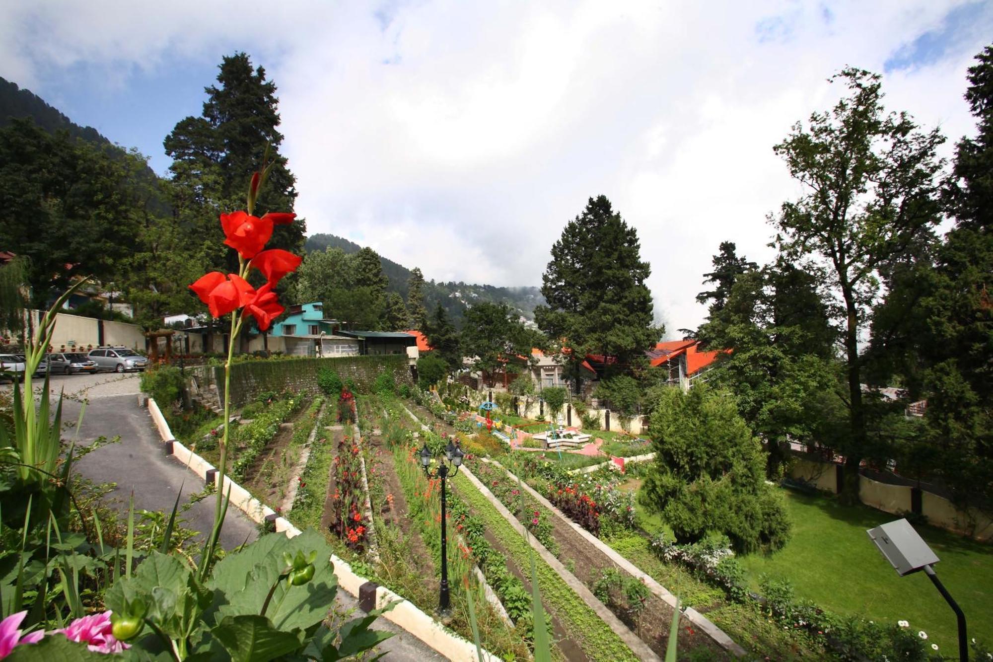 Shervani Hilltop Resort Nainital Kültér fotó